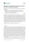 Mechanism of Cuticle Hole Development in Human Hair Due to UV Radiation Exposure