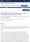 Black Phosphorus Nanosheets Encapsulated Microneedle for Multifunctional Therapy for Androgenic Alopecia