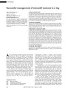 Successful Management of Minoxidil Toxicosis in a Dog