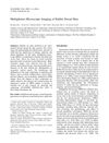 Multiphoton Microscopic Imaging of Rabbit Dorsal Skin