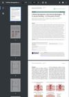 Cellular Therapeutics and Immunotherapies in Wound Healing – On the Pulse of Time?