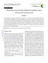 Pharmacology of Glycyrrhiza Glabra (Liquorice): The Grandfather of Herbs