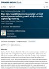 Blue Honeysuckle (Lonicera Caerulea L.) Fruit Extract Promotes Hair Growth Via β-Catenin Signaling Pathway