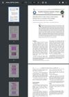 Histopathological Effects of Anabolic Androgenic Steroids (Nandrolone Decanoate) on Heart, Liver, and Kidney of Male Local Rabbits