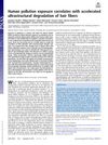 Human Pollution Exposure Correlates With Accelerated Ultrastructural Degradation of Hair Fibers