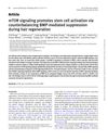 mTOR Signaling Promotes Stem Cell Activation via Counterbalancing BMP-Mediated Suppression During Hair Regeneration