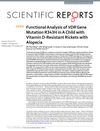 Functional Analysis of VDR Gene Mutation R343H in a Child with Vitamin D-Resistant Rickets with Alopecia