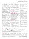 Pharmacological Inhibition of Stearoyl CoA Desaturase in the Skin Induces Atrophy of the Sebaceous Glands