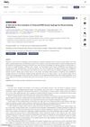 In Vitro and In Vivo Evaluation of Chitosan/HPMC/Insulin Hydrogel for Wound Healing Applications