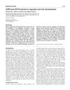 AXR3 and SHY2 Interact to Regulate Root Hair Development
