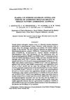 Plasma C19 Steroid Sulfate Levels and Indices of Androgen Bioavailability in Female Pattern Androgenic Alopecia