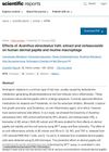 Effects of Acanthus Ebracteatus Vahl Extract and Verbascoside on Human Dermal Papilla and Murine Macrophage