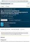 Age-Related Downregulation of Dihydrotestosterone-Inactivating Enzymes in Human Scalp Sebaceous Glands