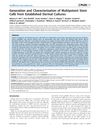 Generation and Characterization of Multipotent Stem Cells from Established Dermal Cultures