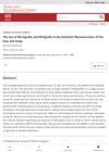 The Use of Micrografts and Minigrafts in the Aesthetic Reconstruction of the Face and Scalp