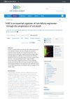 VDR Is an Essential Regulator of Hair Follicle Regression Through the Progression of Cell Death