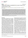 Anagen Hair Follicles Transplanted Into Mature Human Scars Remodel Fibrotic Tissue