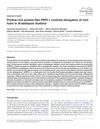 Proline-Rich Protein-Like PRPL1 Controls Elongation of Root Hairs in Arabidopsis Thaliana