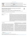 Raman Spectroscopy and Electronic Microscopy Structural Studies of Caucasian and Afro Human Hair
