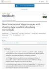 Novel Treatment of Alopecia Areata With Shooting-Type Candlelit-Dissolving Microneedle