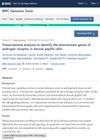 Transcriptome Analysis to Identify the Downstream Genes of Androgen Receptor in Dermal Papilla Cells