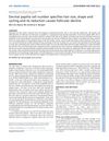 Dermal Papilla Cell Number Specifies Hair Size, Shape, and Cycling, and Its Reduction Causes Follicular Decline