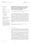 Erythema Multiforme in a Central American Tapir Calf: Clinical Case Report