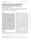 Regulation of Somatic Cell Reprogramming Through Inducible miR-302 Expression