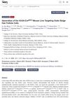 Generation of the Krt24-CreERT2 Mouse Line Targeting Outer Bulge Hair Follicle Cells