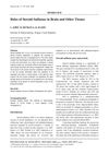 Roles of Steroid Sulfatase in Brain and Other Tissues