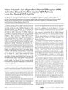Stress-Induced c-Jun-Dependent Vitamin D Receptor Activation Dissects the Non-Classical VDR Pathway from the Classical VDR Activity