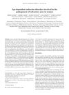 Age-Dependent Endocrine Disorders Involved in the Pathogenesis of Refractory Acne in Women