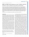 BMP2 And BMP7 Play Antagonistic Roles In Feather Induction