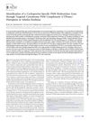 Identification of a Cyclosporine-Specific P450 Hydroxylase Gene Through Targeted Cytochrome P450 Complement Disruption in Sebekia Benihana