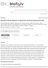 Divergent Molecular Signatures of Regeneration and Fibrosis During Wound Repair