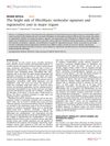 The Bright Side of Fibroblasts: Molecular Signature and Regenerative Cues in Major Organs