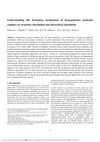 Understanding the Formation Mechanism of Drug-Polymer Inclusion Complex by Structure Elucidation and Theoretical Calculation