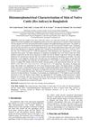 Histomorphometrical Characterization of Skin of Native Cattle (Bos Indicus) in Bangladesh