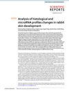 Analysis of Histological and MicroRNA Profiles Changes in Rabbit Skin Development
