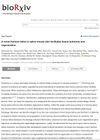 A Novel Fracture Lattice in Spiny Mouse Skin Facilitates Tissue Autotomy and Regeneration