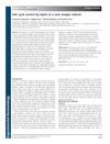 Hair Cycle Control by Leptin as a New Anagen Inducer