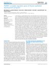 FOXN1: A Master Regulator Gene of Thymic Epithelial Development Program