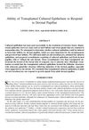 Ability of Transplanted Cultured Epithelium to Respond to Dermal Papillae