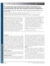 The Antimycotic Agent Clotrimazole Inhibits Melanogenesis by Accelerating ERK and PI3K/Akt-Mediated Tyrosinase Degradation