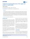 Unilateral Nevoid Hyperkeratosis of the Nipple and Areola in a Saudi Female