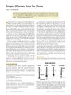 Telogen Effluvium Need Not Recur