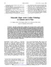 Minoxidil: Right Atrial Cardiac Pathology in Animals and Humans