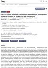 CXCL12 Drives Reversible Fibroimmune Remodeling in Androgenetic Alopecia Revealed by Single-Cell RNA Sequencing