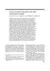 Action of Topical Minoxidil in the Bald Stump-Tailed Macaque