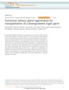 Functional Salivary Gland Regeneration by Transplantation of a Bioengineered Organ Germ